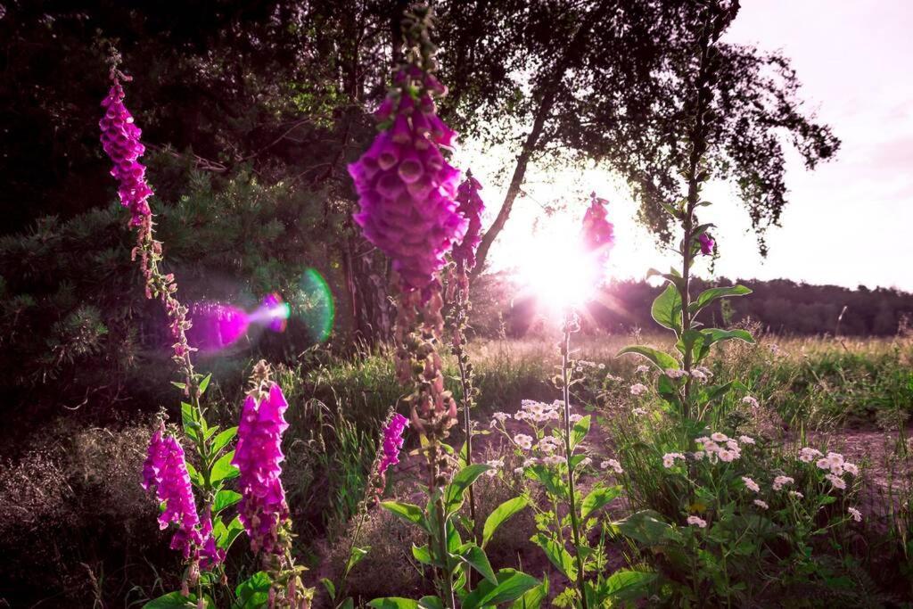 Enjoy Cozy Romance Hills Forest Gardens Views Sauna Whirlpool Bath Jablonné v Podještědí 외부 사진